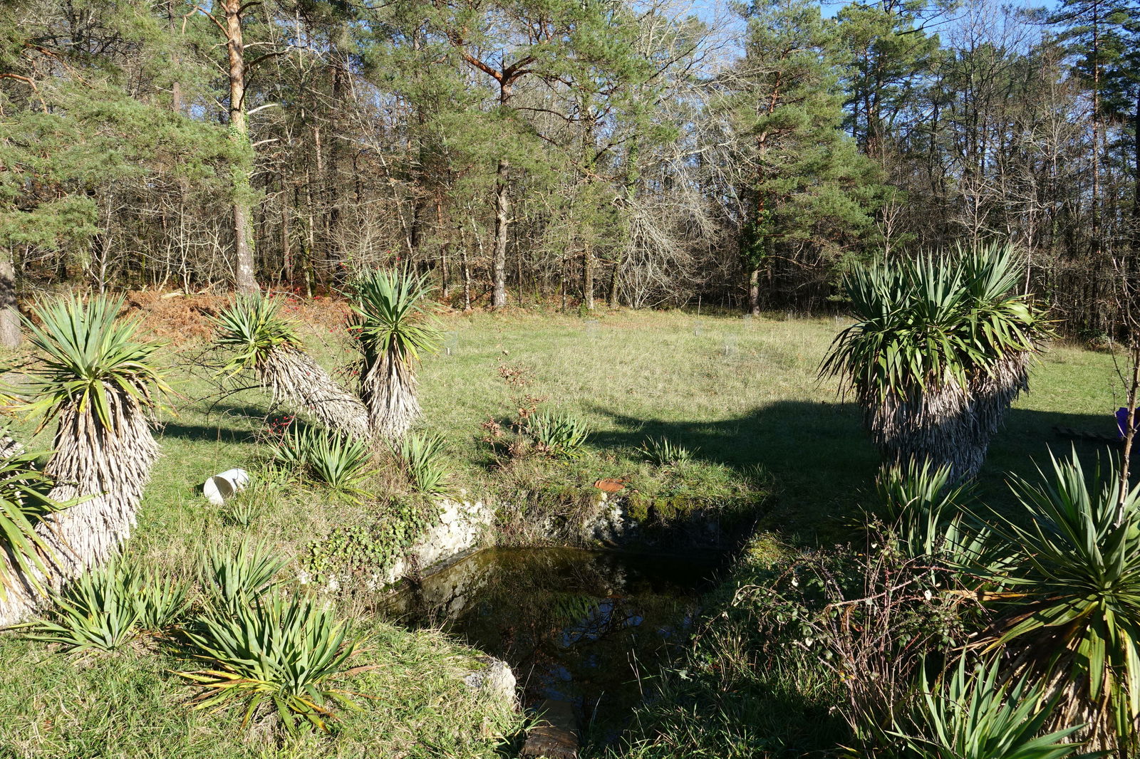 Famiglia La Gonterie-Boulouneix 238920