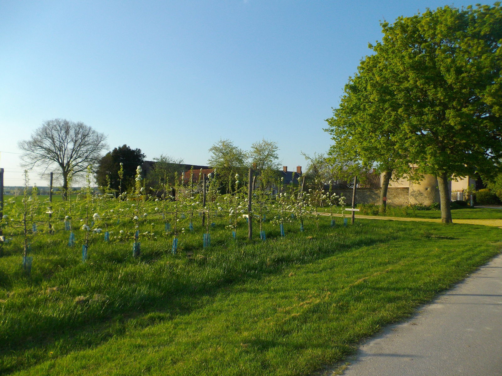 Camere Per Gli Ospiti Vennecy 66046