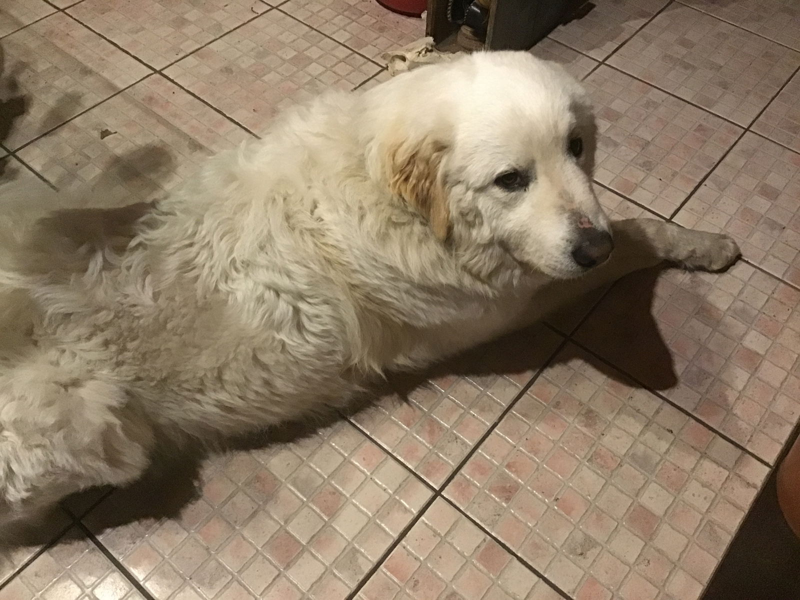 Zakwaterowanie U Rodziny Anzême 483082