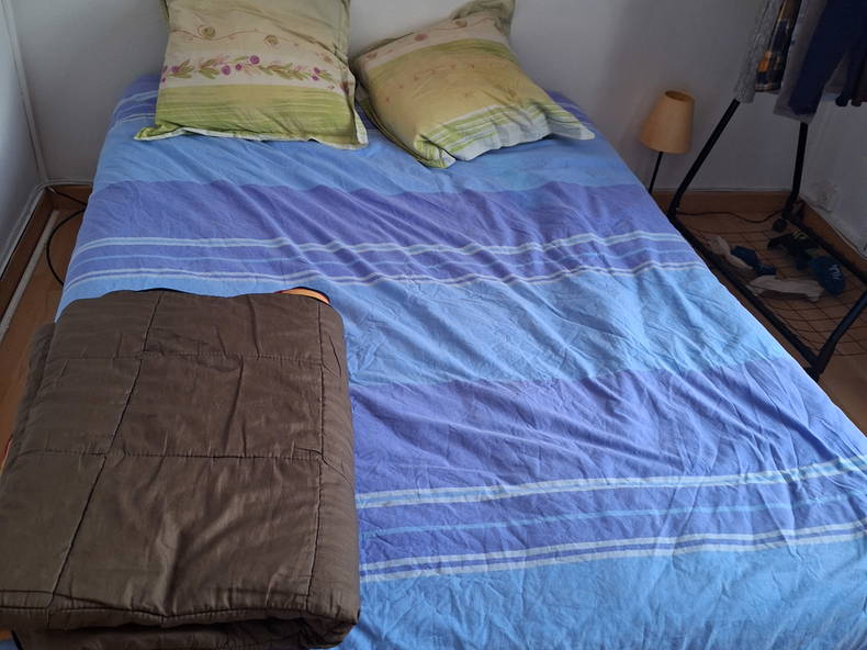 Chambre Chez L'habitant Chelles 324733-1