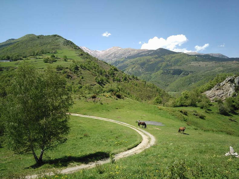 Toda La Casa Prats-de-Mollo-la-Preste 54868-5