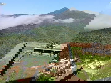 Logement Entier Prats-De-Mollo-La-Preste 54868-22