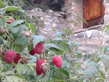 Logement Entier Prats-De-Mollo-La-Preste 54868-16