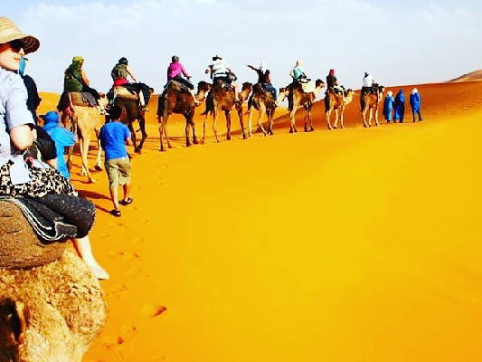 Entire Home Merzouga 158885-3