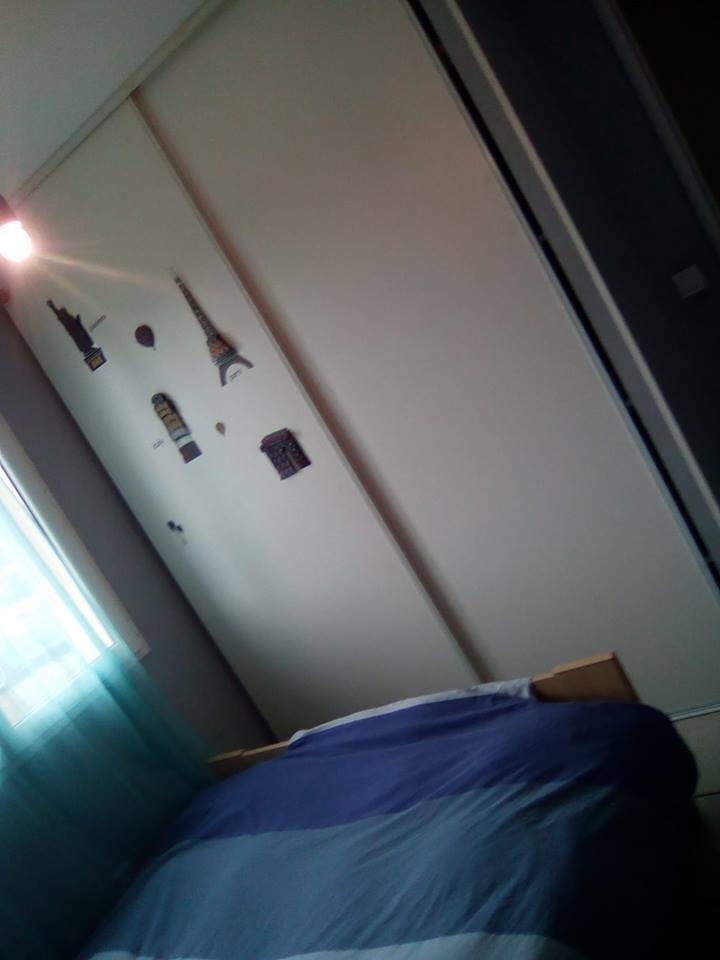 Kolokation Saint-Vivien-de-Médoc 197600