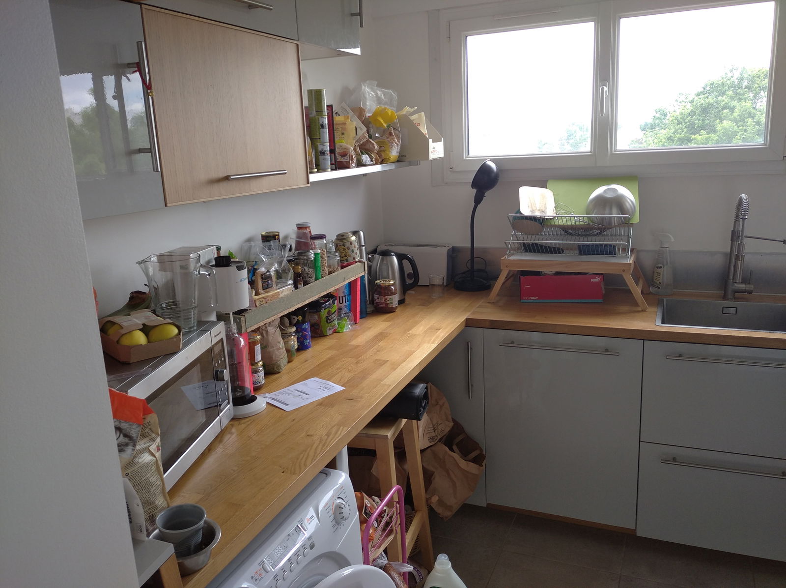 Kolokasie Les Ulis 260313