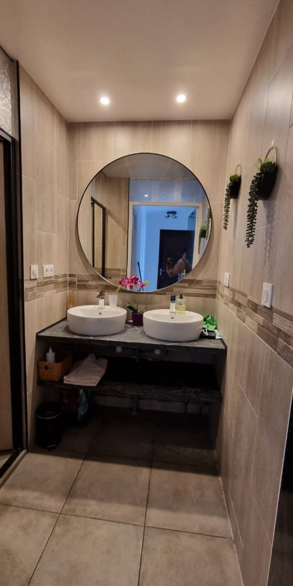 Kolokasie Neuilly-Plaisance 532960