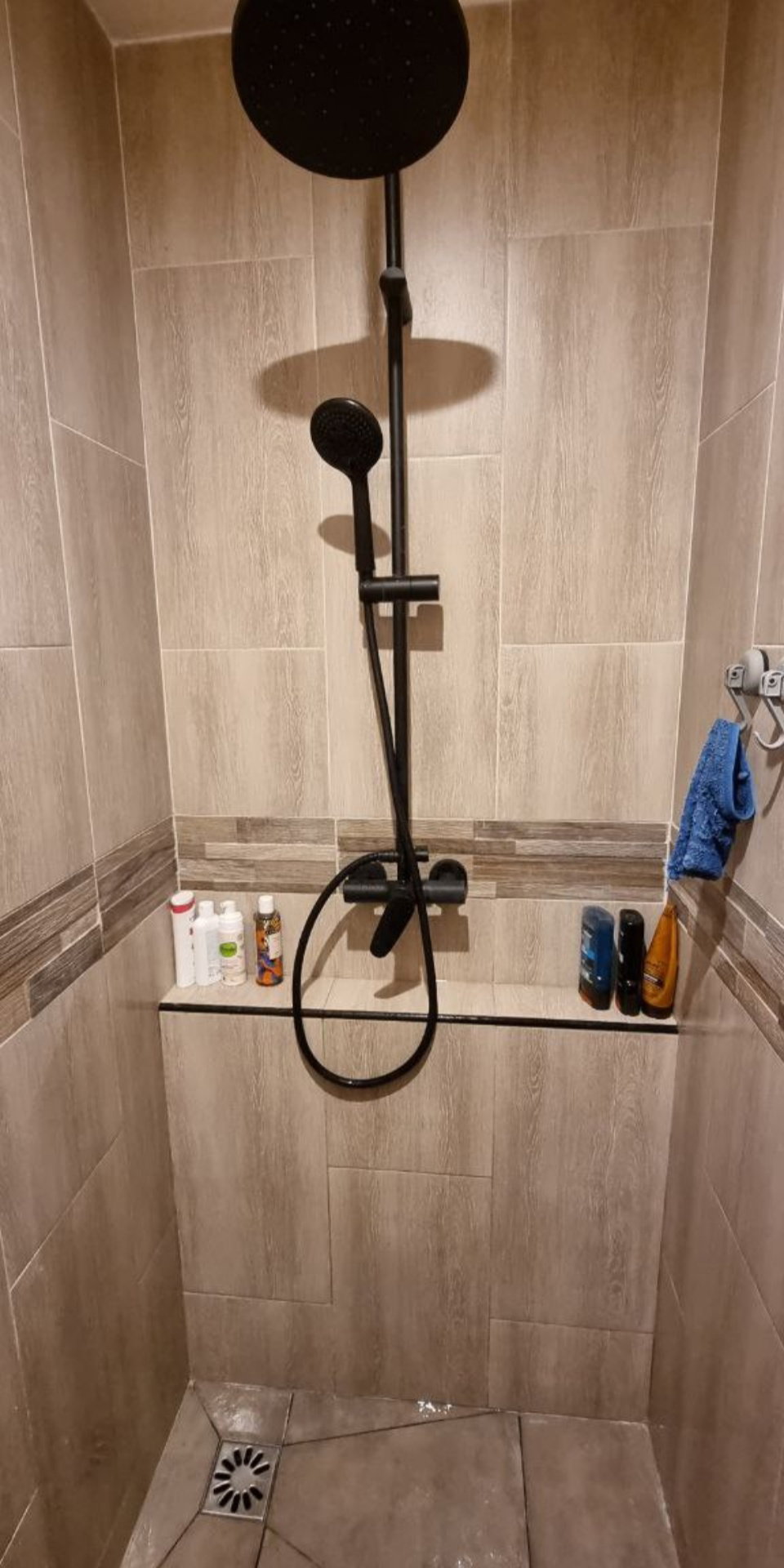 Kolokasie Neuilly-Plaisance 532960