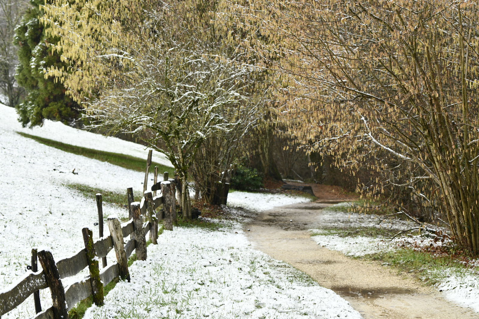 Hele Huis Nyon 262057