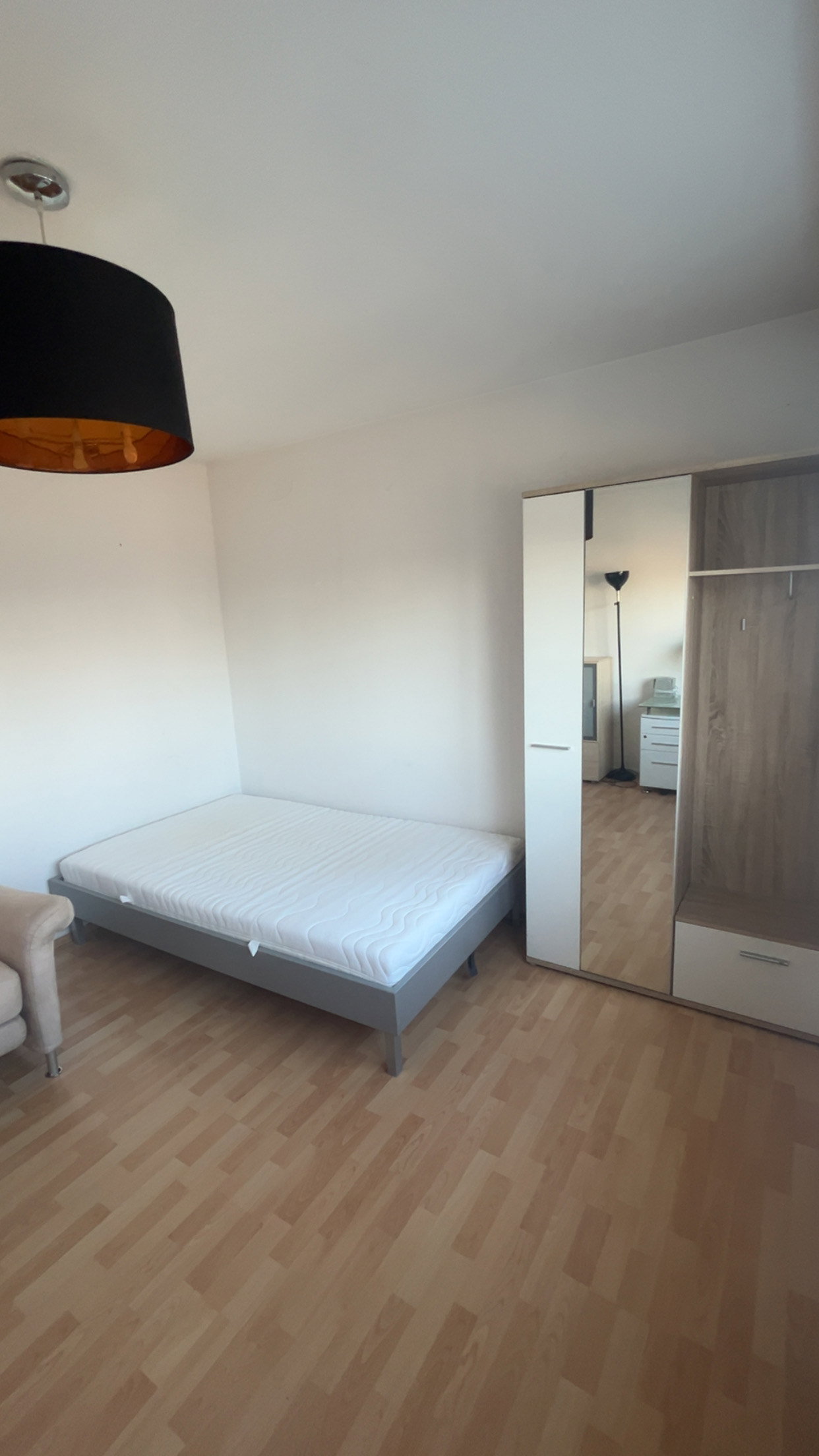 Kolokasie Saint-Louis 274758