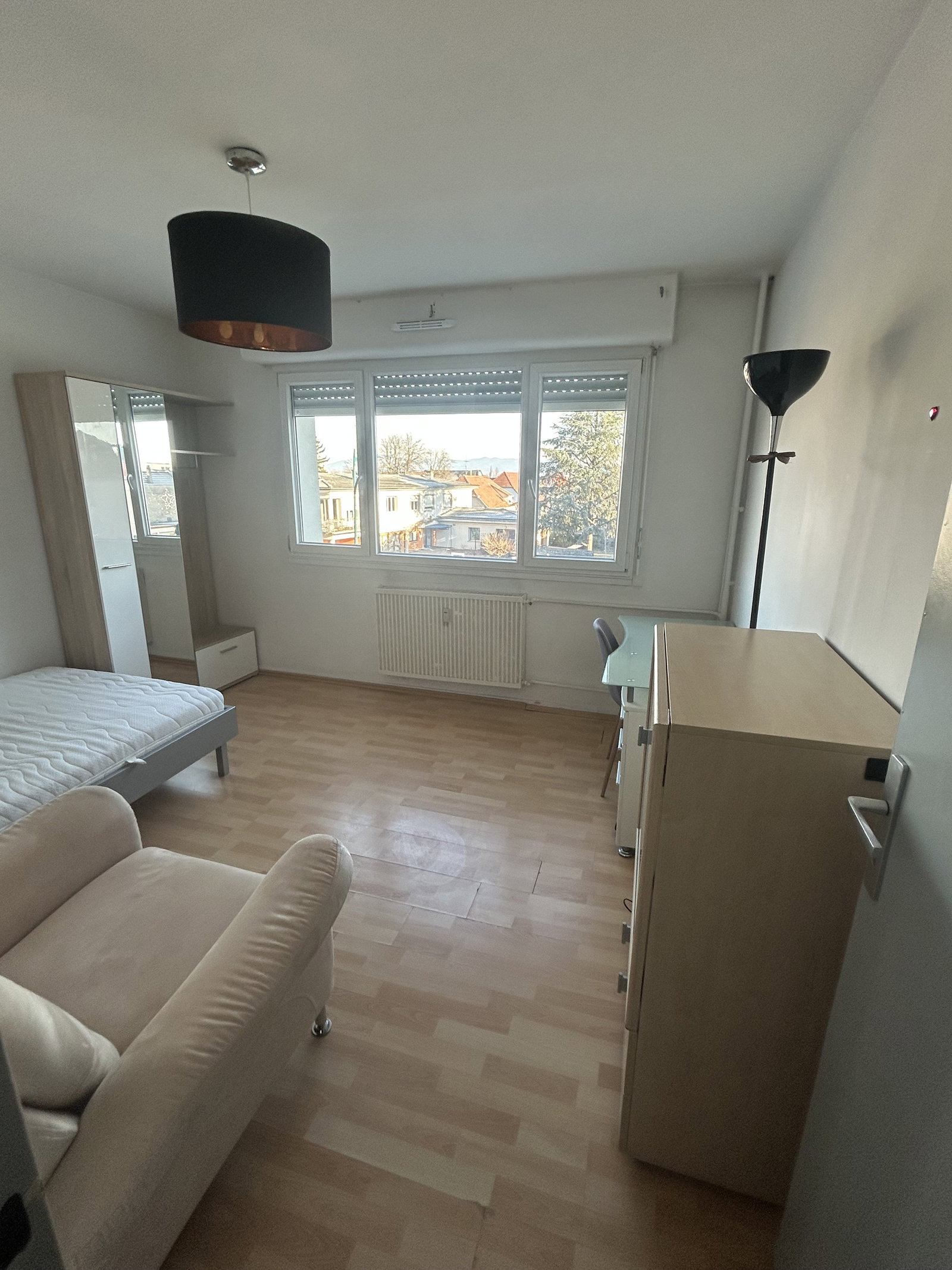 Kolokasie Saint-Louis 274758