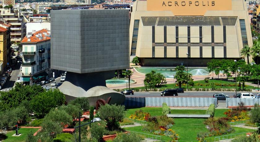 Kolokasie Nice 255681