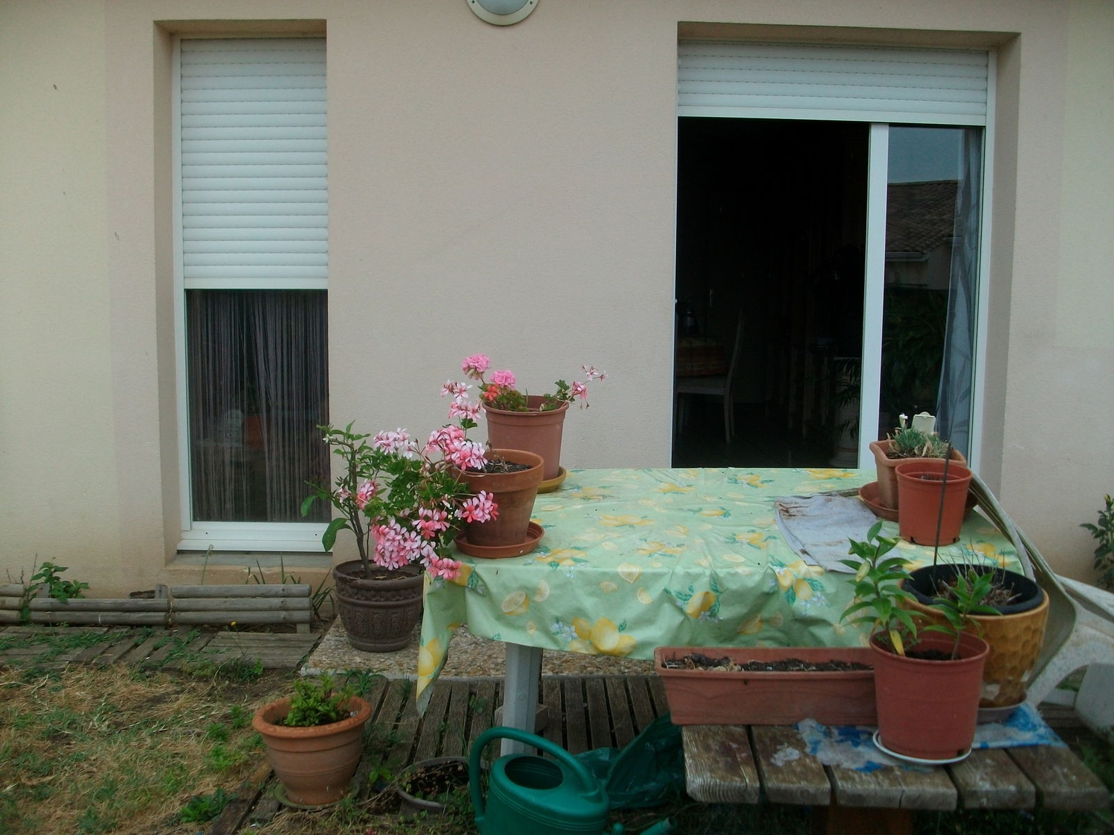 Hjemmeophold Libourne 105874