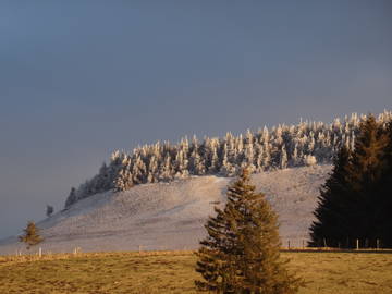 Shared Accommodation Saint-Alyre-És-Montagne 139508-4