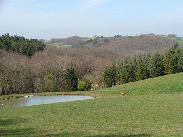Oberoende Studio Puycalvel 16668