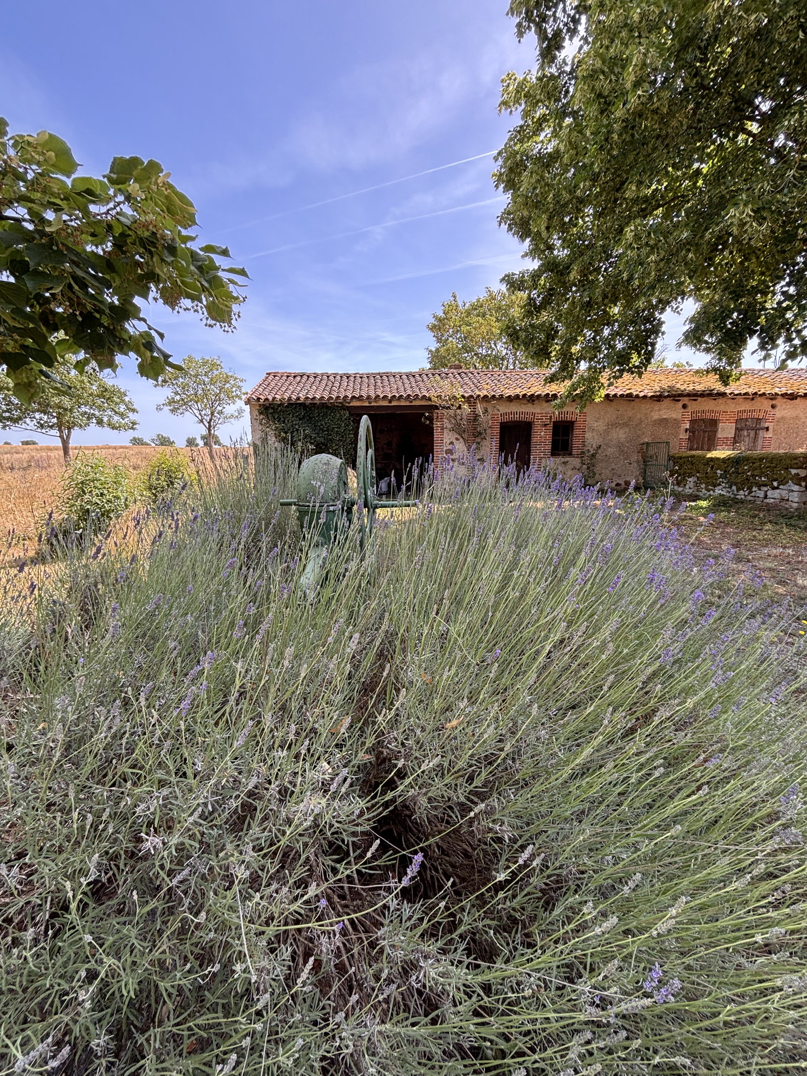 Homestay Lathus-Saint-Rémy 677545