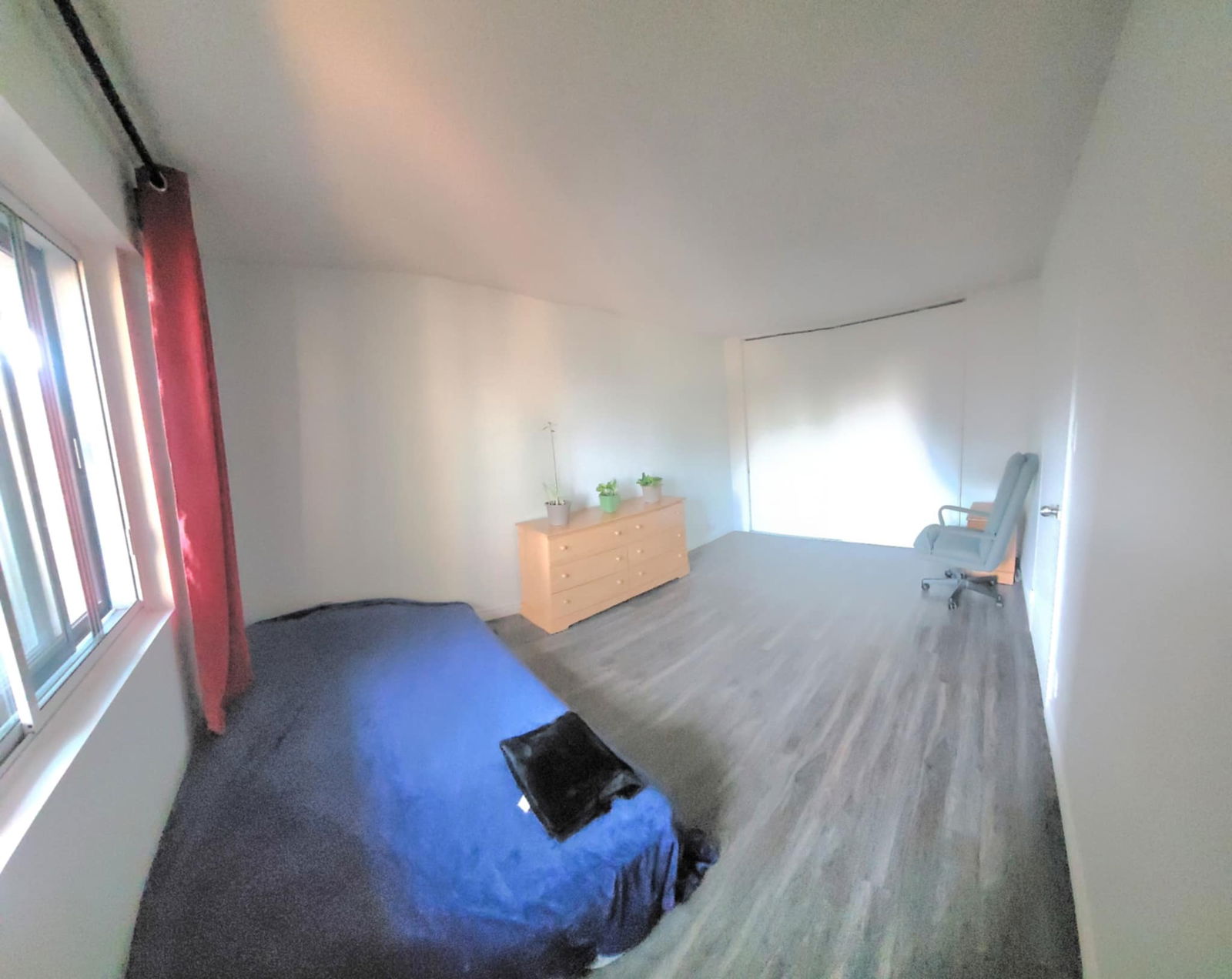 Uafhængigt Studie Montréal 446495