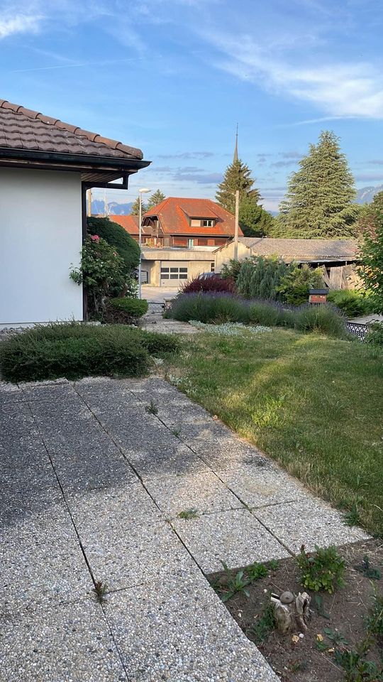 Hemvistelse Oron 374515