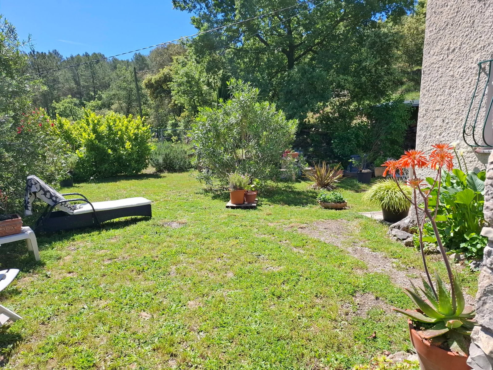 Homestay Callas 667517