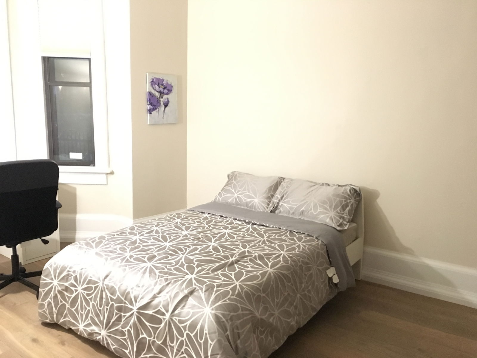 Colocation Toronto 150697