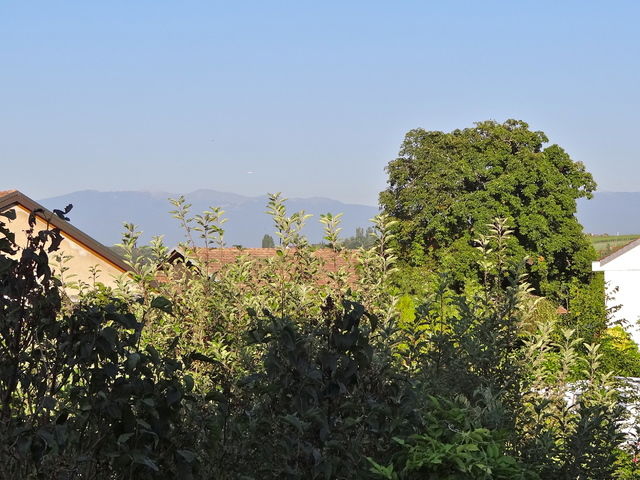 Hjemmeophold Bernex 58040