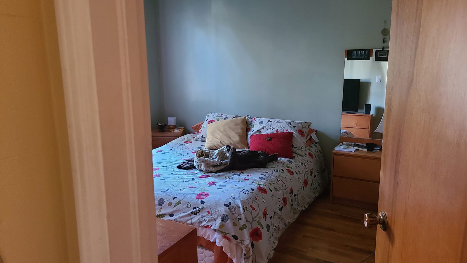 Colocation Montréal 644481