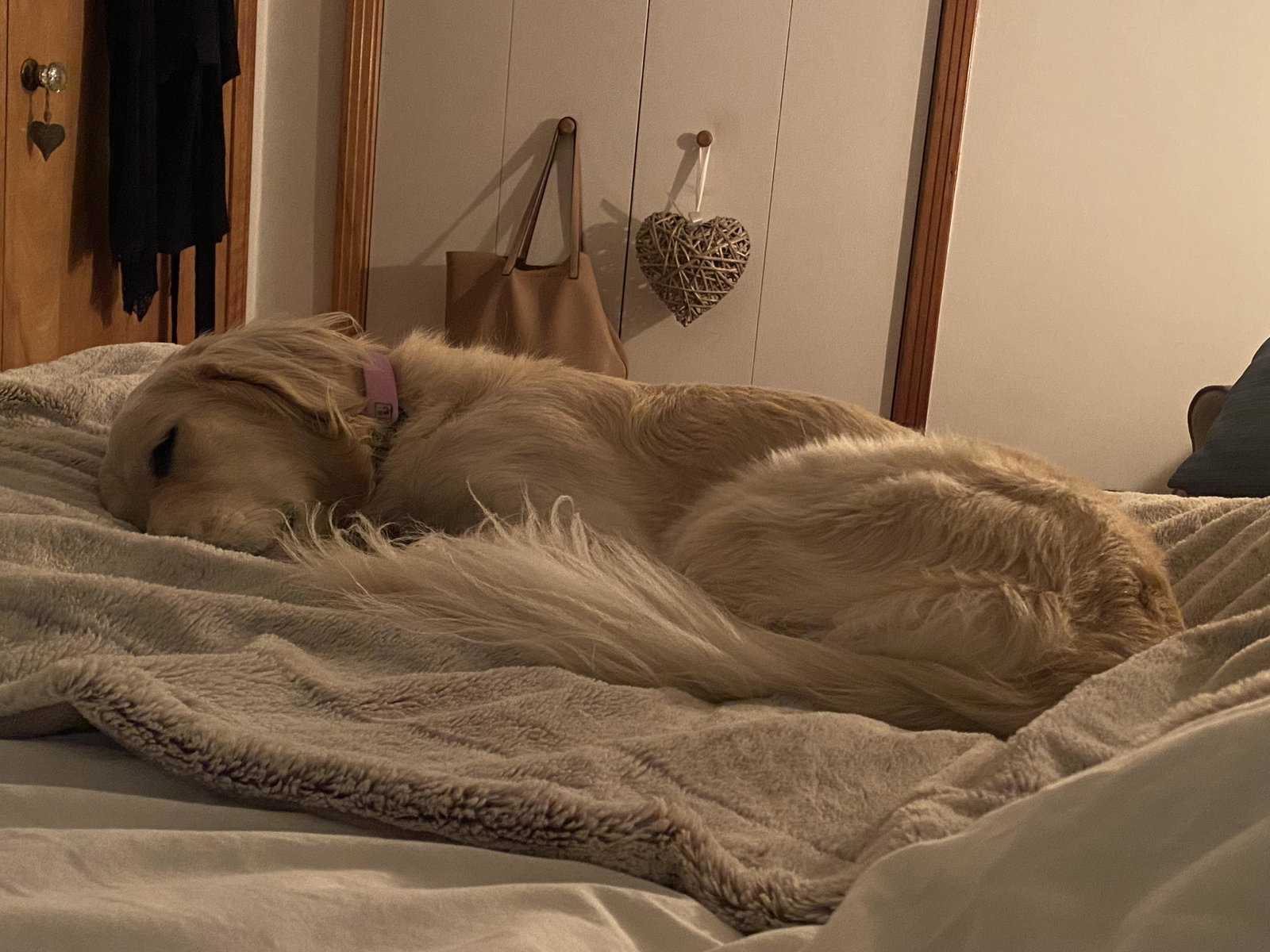 Hemvistelse Sherbrooke 656321