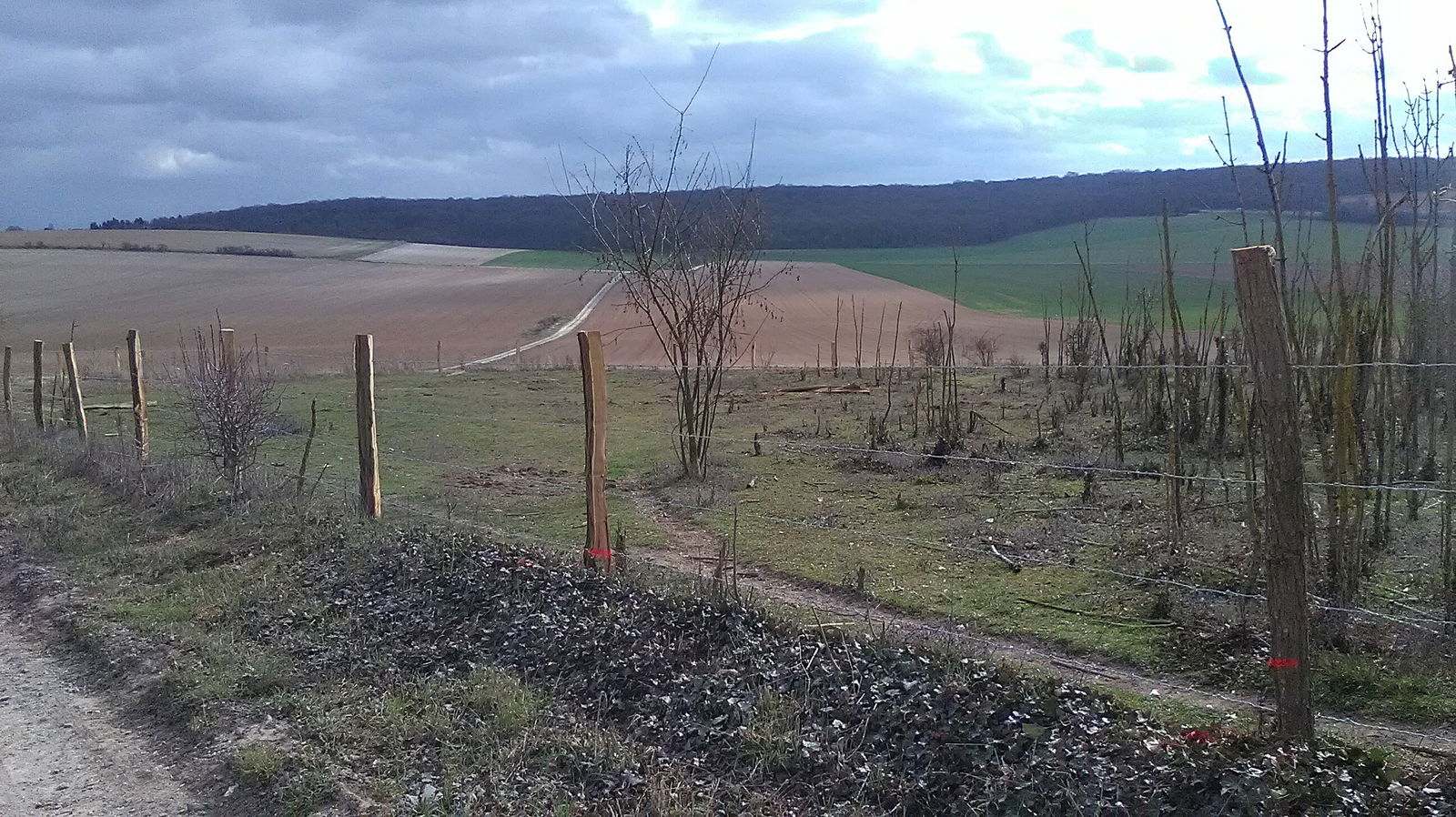 Hemvistelse Boves 11386