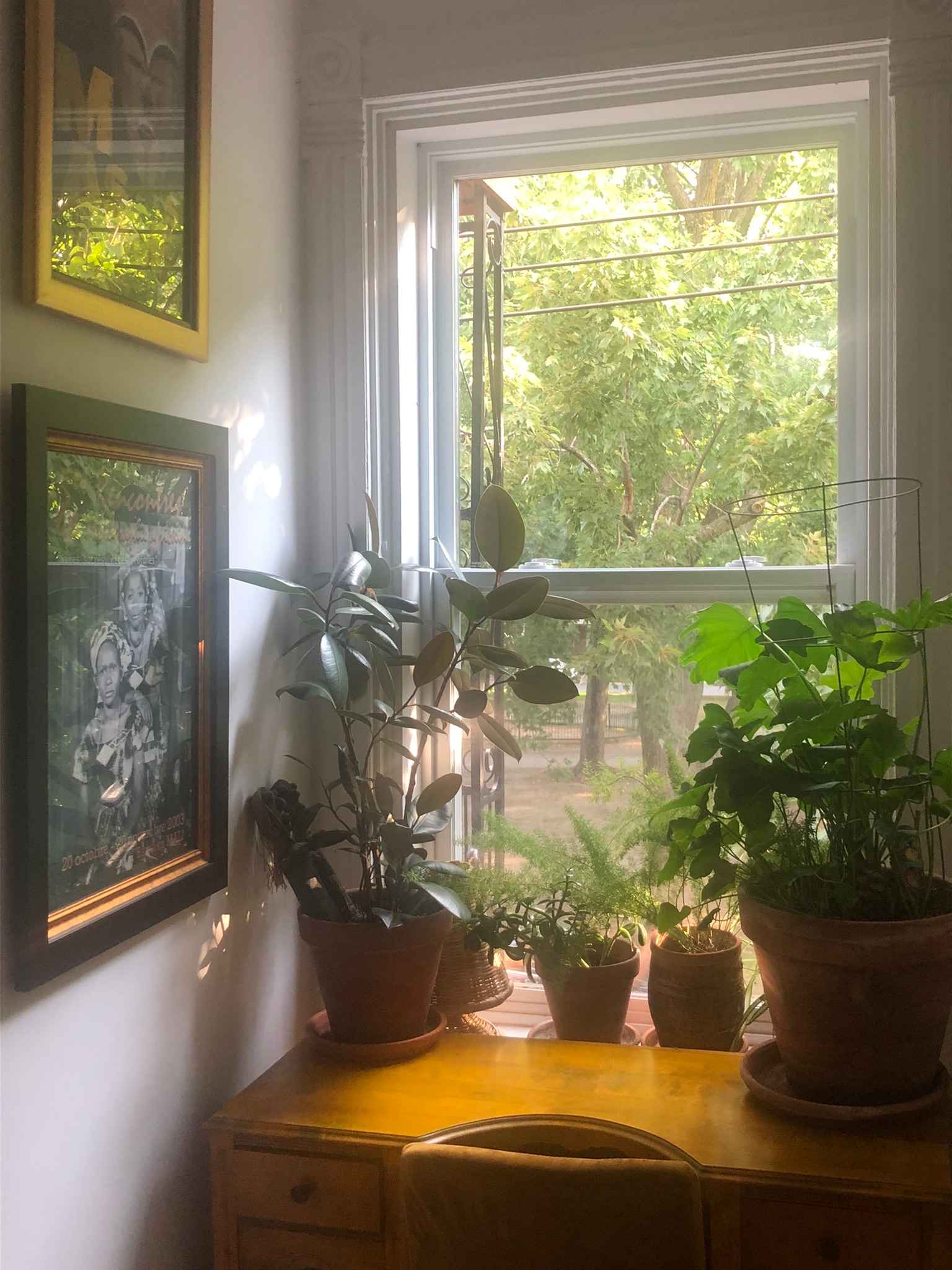 Homestay Montréal 668412