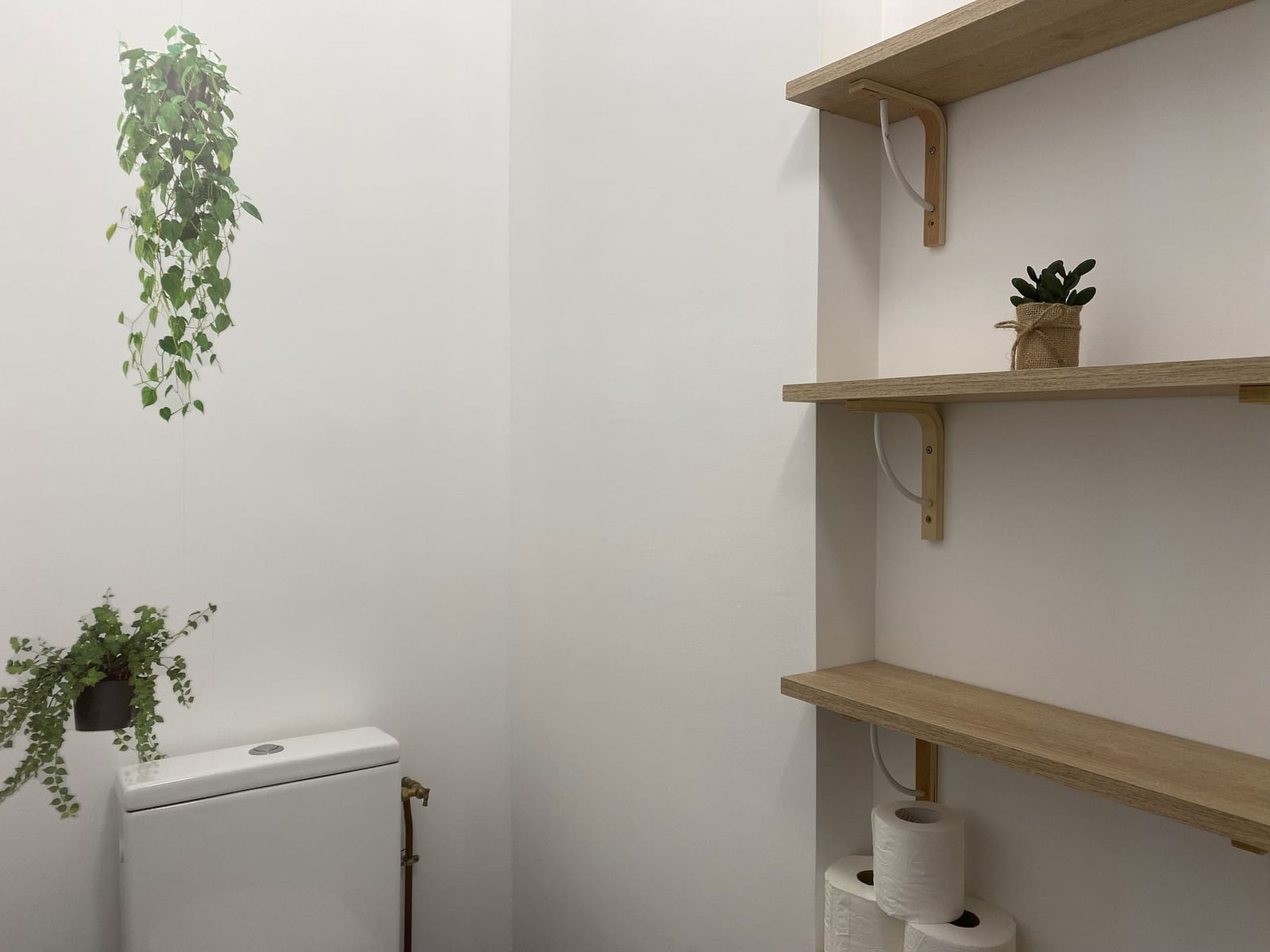 Coliving Niort 429003