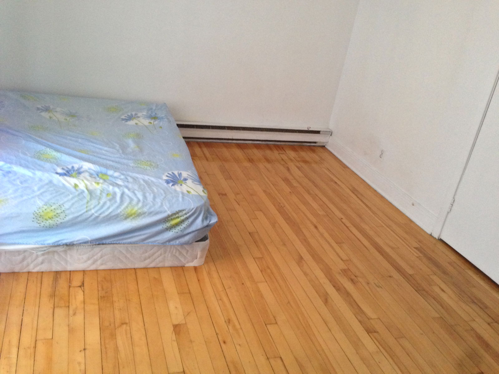 Colocation Montréal 69117