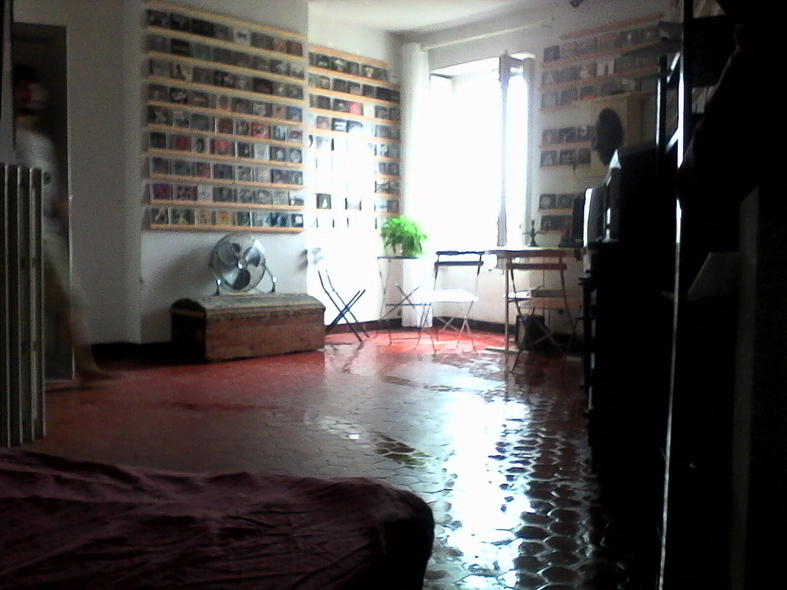 Colocation Montpellier 93502