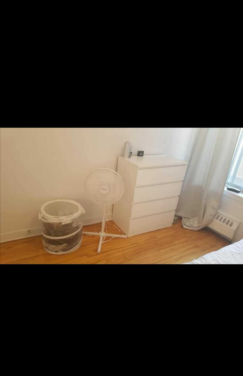 Colocation Montréal 256271