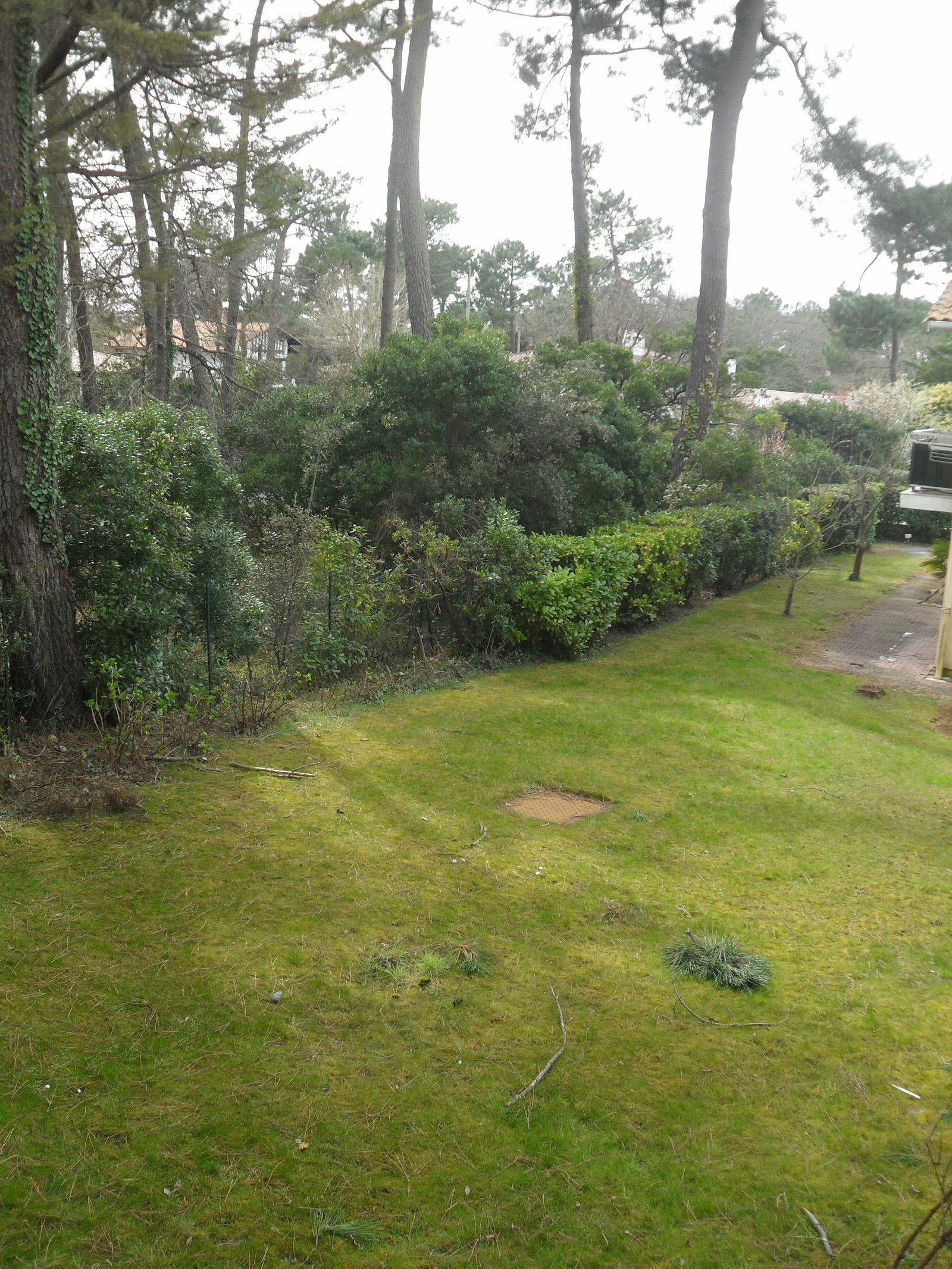 Onafhankelijke Studio La Teste-de-Buch 65642