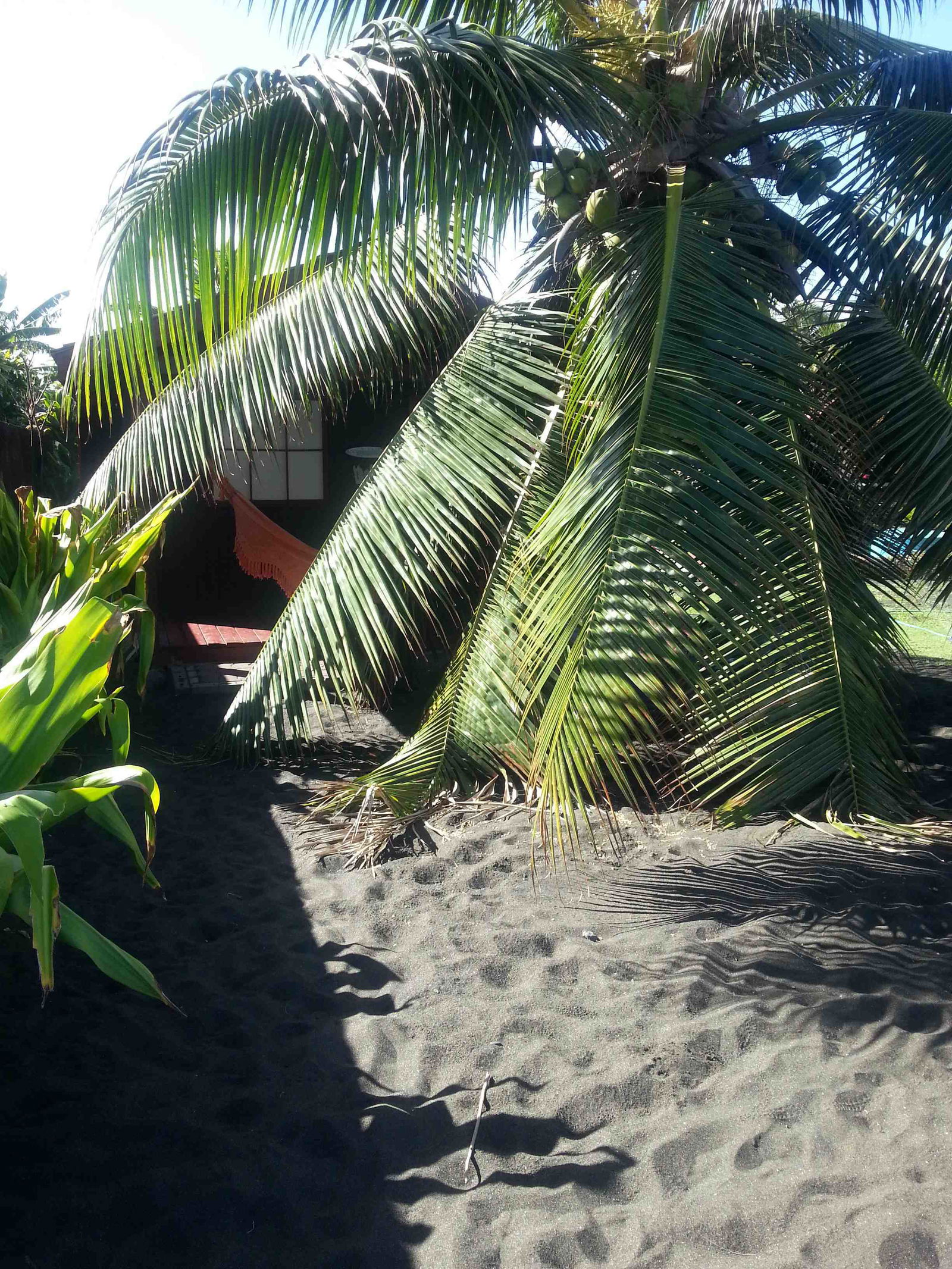 Tuisverblyf Tahiti 74299