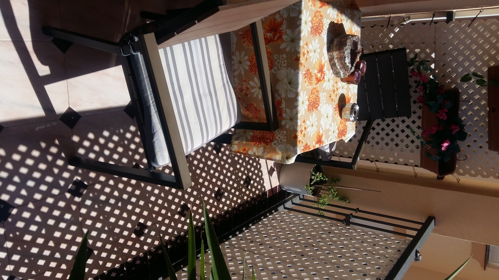 Gastfamilie Fuengirola 174223