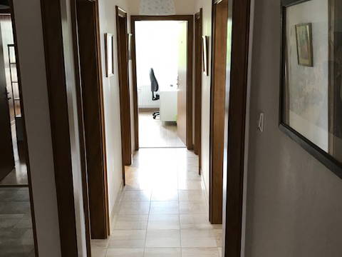 Colocation Strasbourg 383120-5