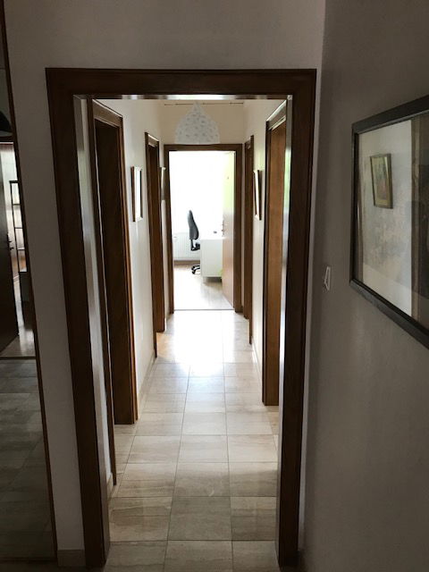 Colocation Strasbourg 383120