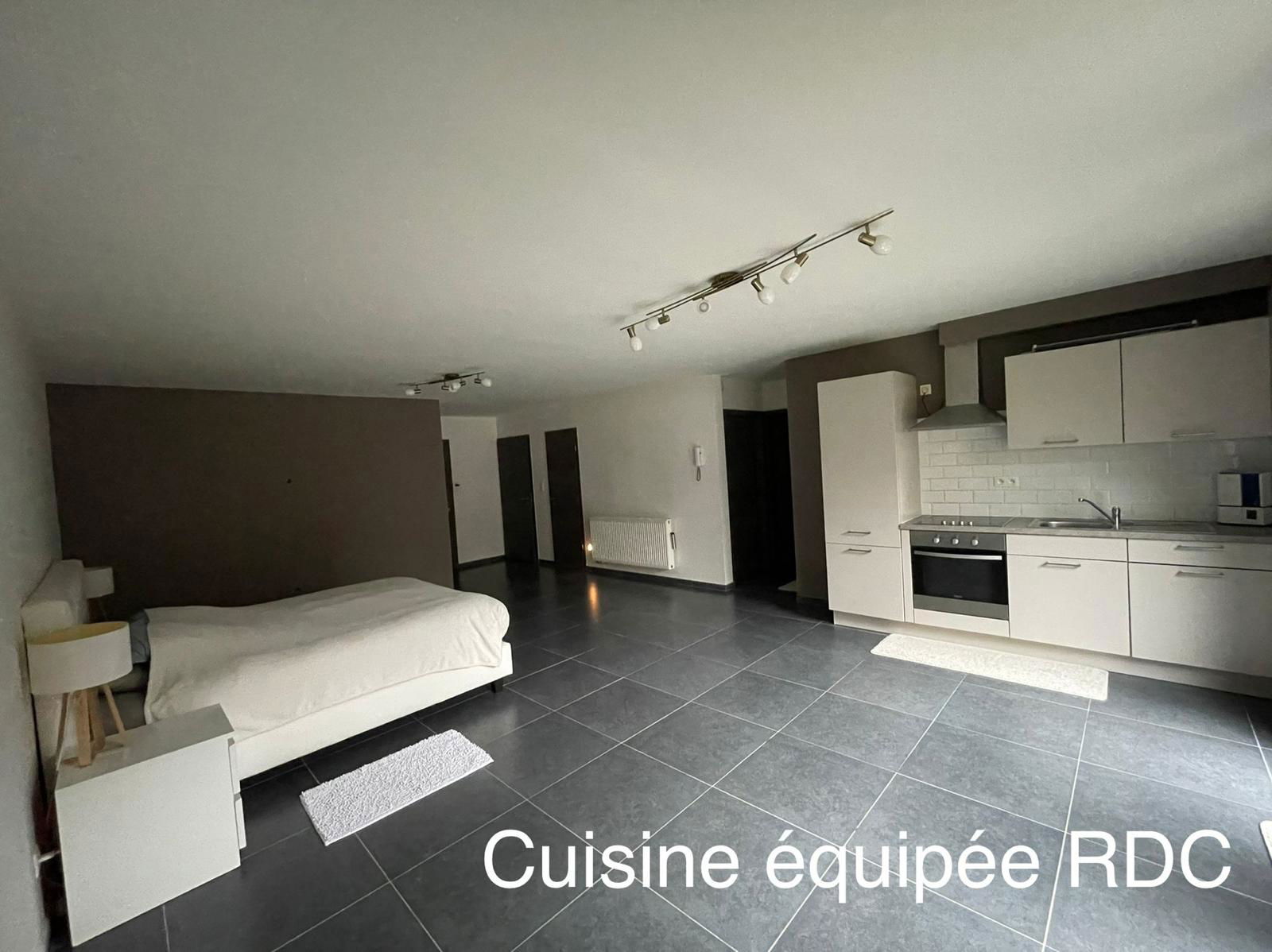 Colocation Charleroi 397196