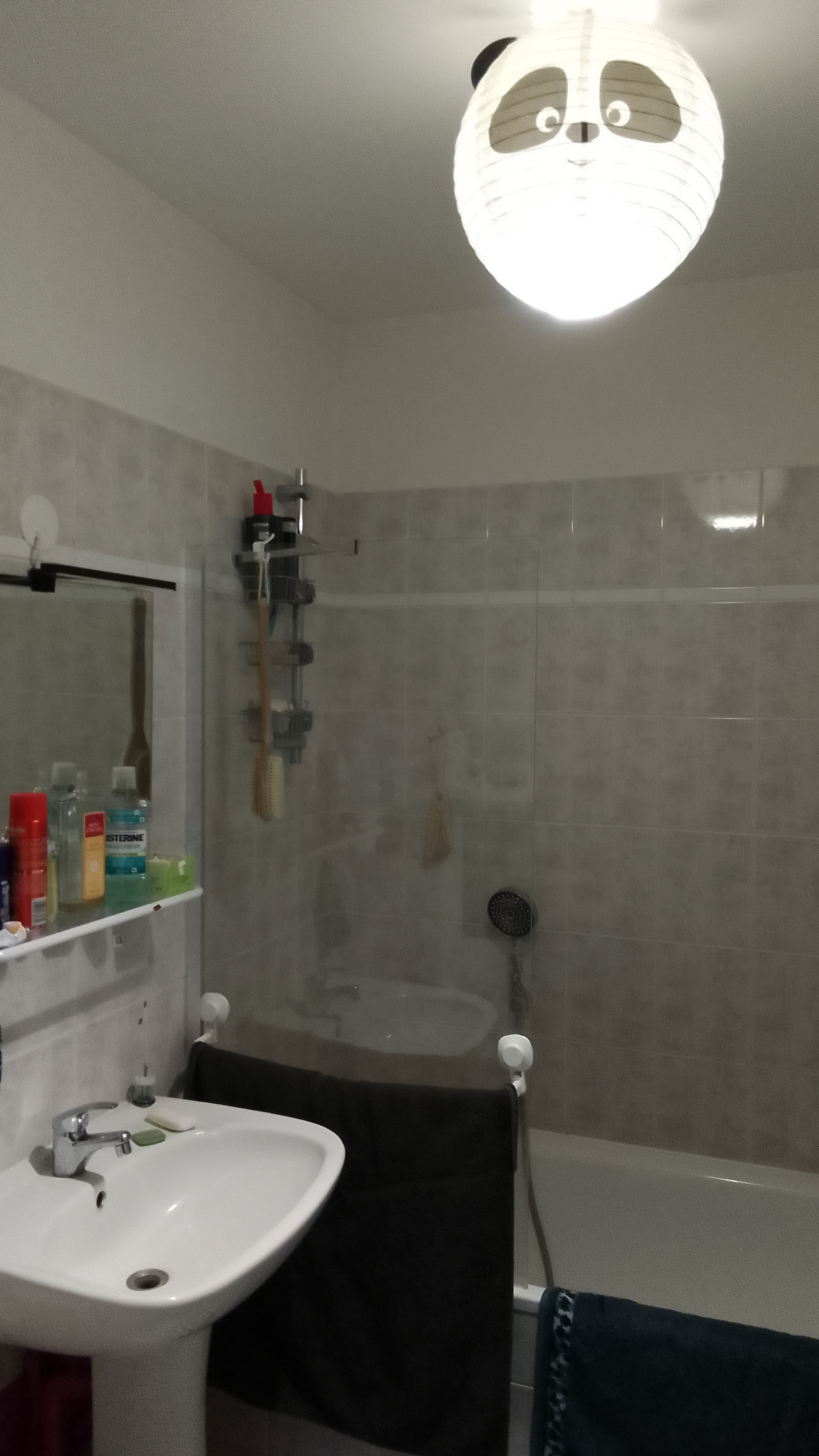 Homestay Metz 498166