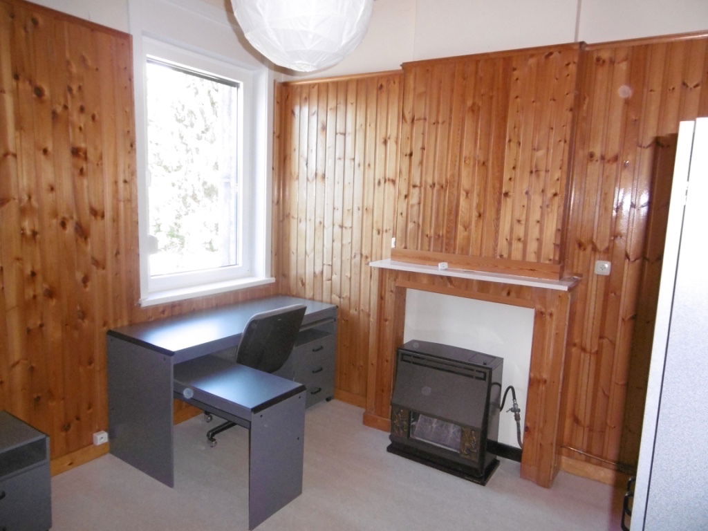 Kolokasie Mons 163823