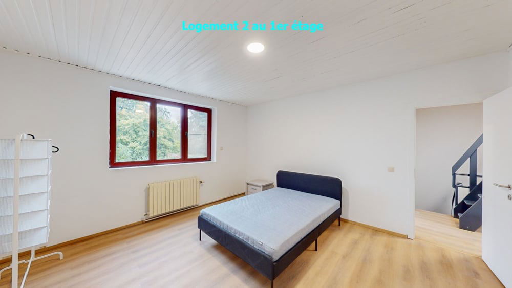 Kolokasie Charleroi 390257