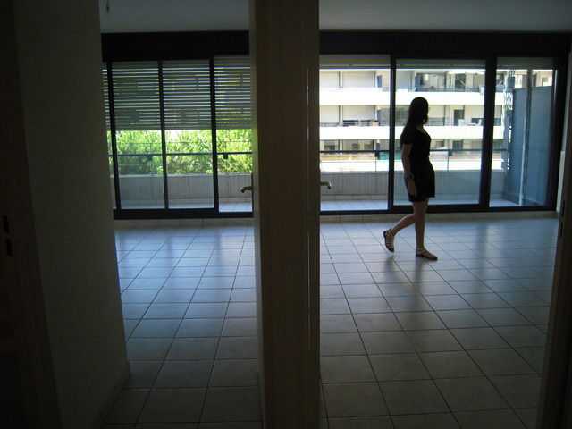 Kolokasie Montpellier 12483