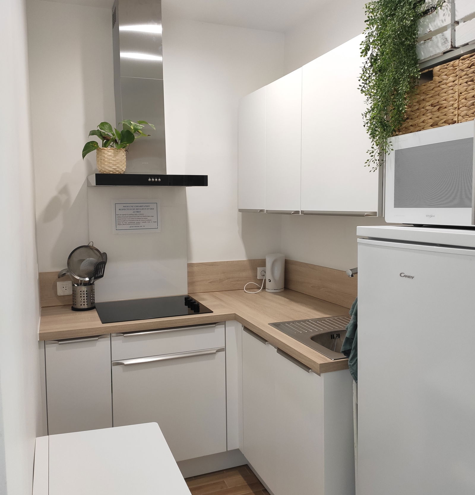 Colocation Saint-Germain-en-Laye 73262