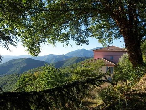 Homestay Poggio-di-Venaco 159014