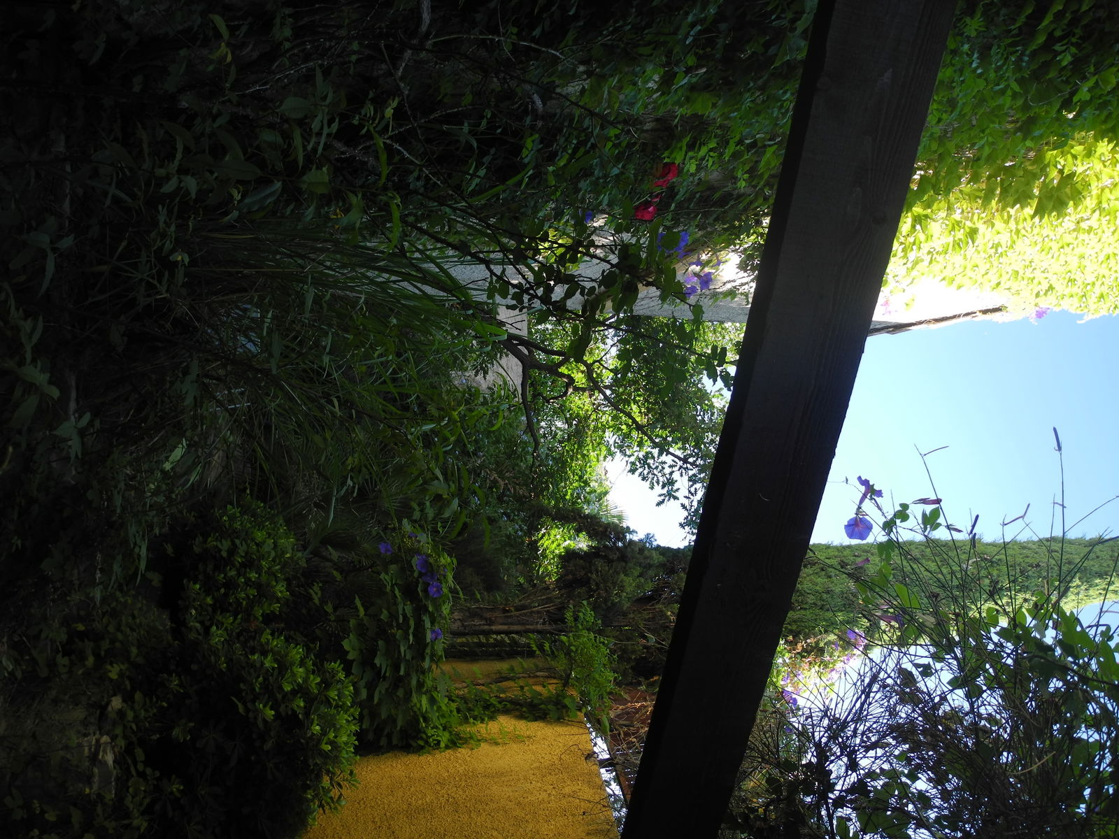 Colocation Montpellier 187640