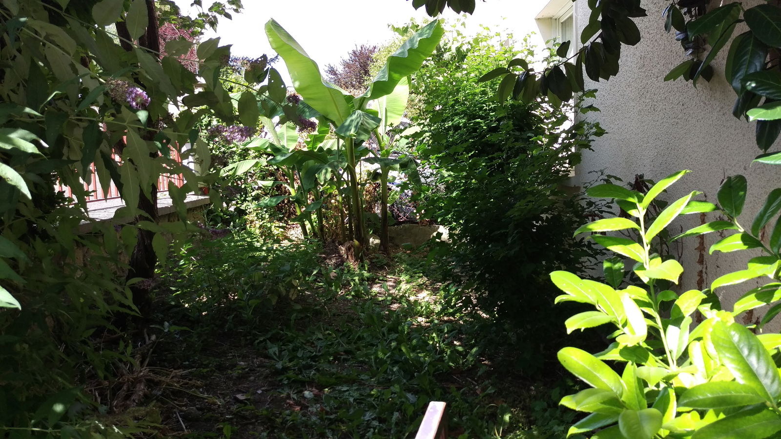 Colocation Saint-Germain-en-Laye 203932