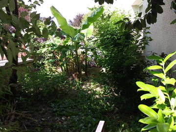 Shared Accommodation Saint-Germain-En-Laye 203932-5