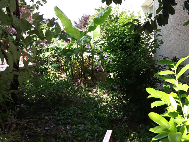 Kolokation Saint-Germain-en-Laye 203932-5