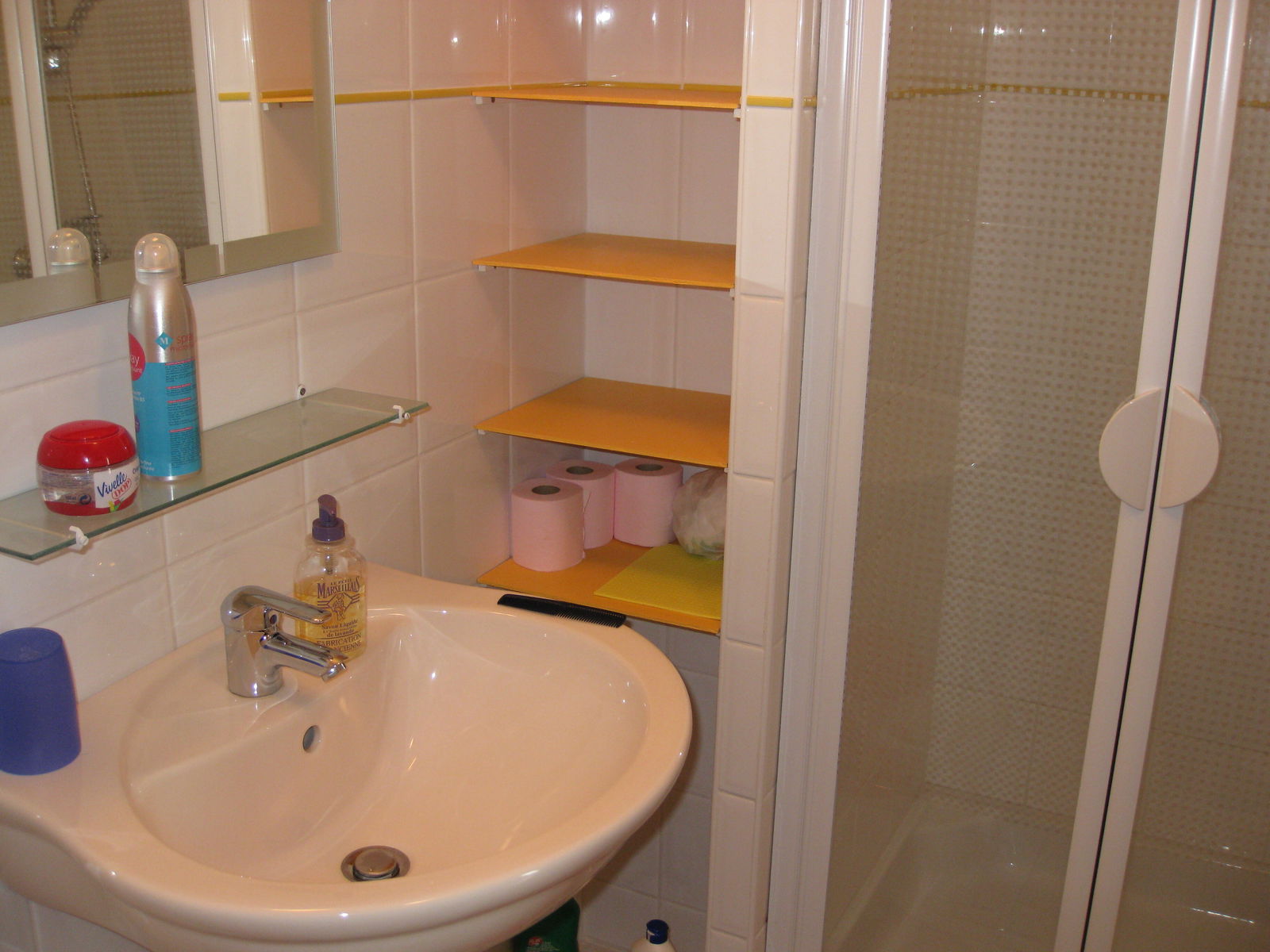 Homestay Lyon 252934